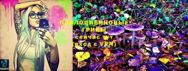 таблы Арсеньев