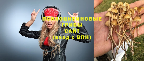бутират Аркадак